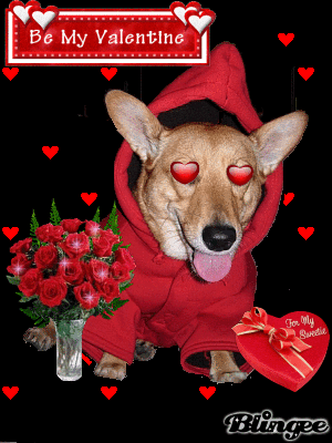 Valentine Ginger