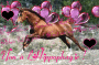 Jango77o