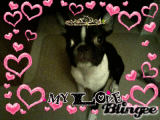Boo, my  love
