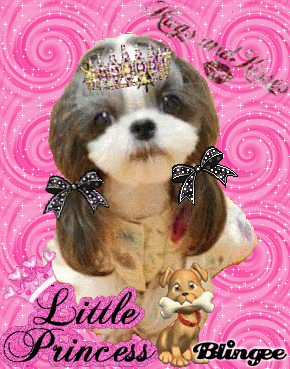 Little Princess Little Princess