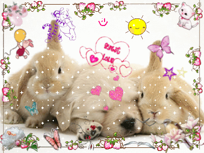 SweetLove SweetLove