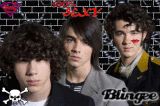 the jonas brothers