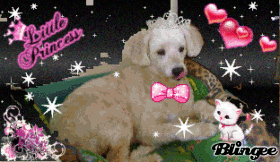 pitou