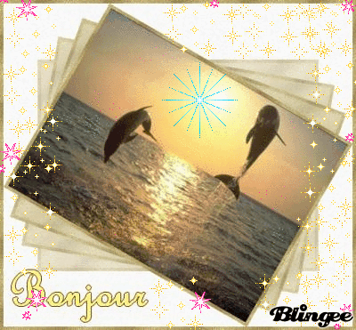 bonjour