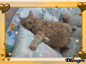 minou