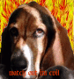 evil puppy