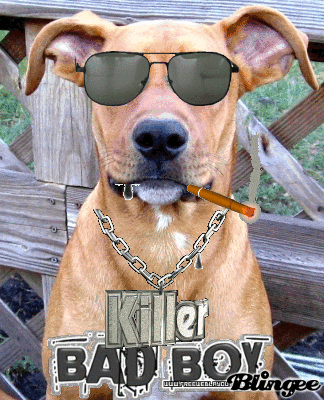 Dozer