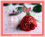 branka53