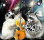 3 CAT NIGHT