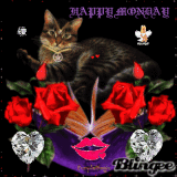 branka53