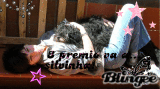  3 premio silvinha