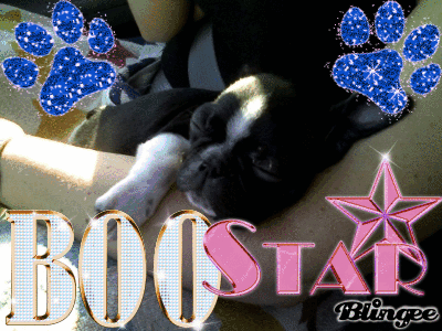 Baby Boo