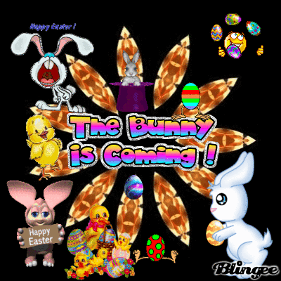 The Bunny !!!
