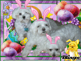 Easter Buddies