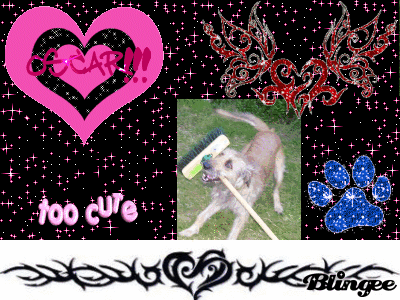 my doggie oscar!!^^