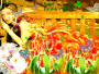 flores do campo