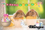 hase2
