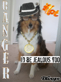 Ranger
