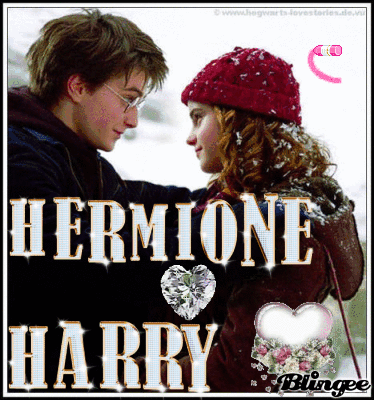 HARRY LOVES HERMIONE harry loves hermione: