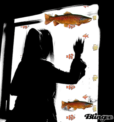 SALMÕES