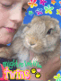 andrew and rabbit