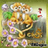 branka53