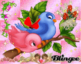branka53
