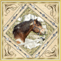 Stallion Juno