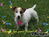 Thanks for your friendship