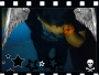 o0o0la zoii ioop¡¡¡¡¡¡¡¡¡¡