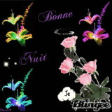 bonne nuit