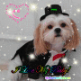 my little stinker(not his name don't worrie) my little stinker(not his name don't worrie)