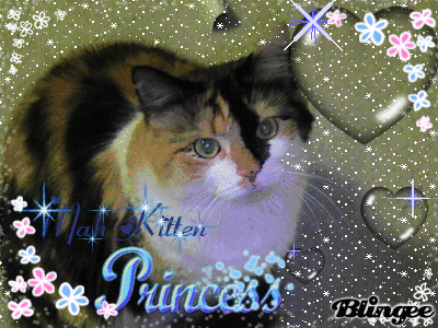 My Kitten Princess!!!!!