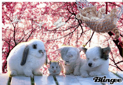 süßes Liebes Anime GIF Tumblr