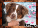 balou