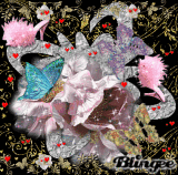 flower~shoes~butterflies~sparking~