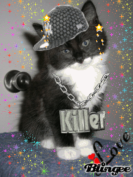 MY Gangsta Kitty MY Gangsta Kitty