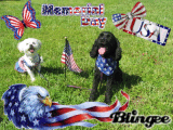 puppy memorial day