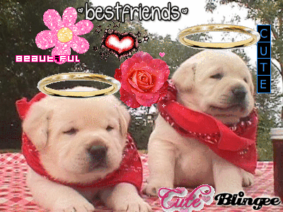 bff puppies bff puppies picture 59114779 blingee bff puppies bff puppies picture 59114779 blingee