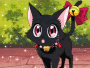 kitty loves sparkels