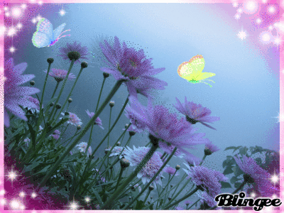 flores azules