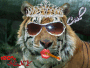 tigre