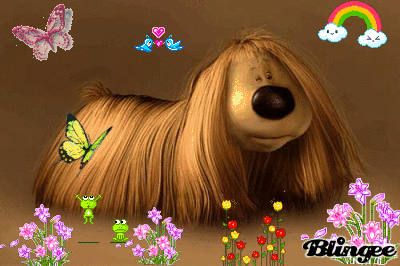 pollux pollux