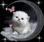 mignon mignon