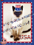 Happy 4th Of July!!!