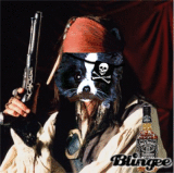 dakota pirate depp