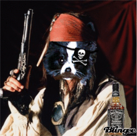 dakota pirate depp