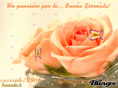 Buongiorno Fiorito Picture 61878721 Blingee Com