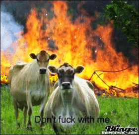Animal Liberation 