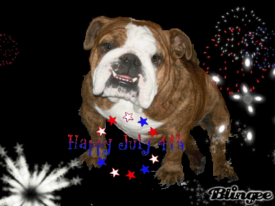 happy 4th of july from the bulldog